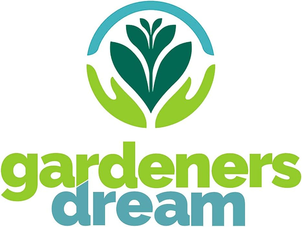 Ensemble de 3 Camellia Gardeners Dream (rouge, blanc et rose) – Arbustes à fleurs à feuilles persistantes – Plantes de jardin rustiques – Plantes de balcon rustiques – Plantes en pot rustiques