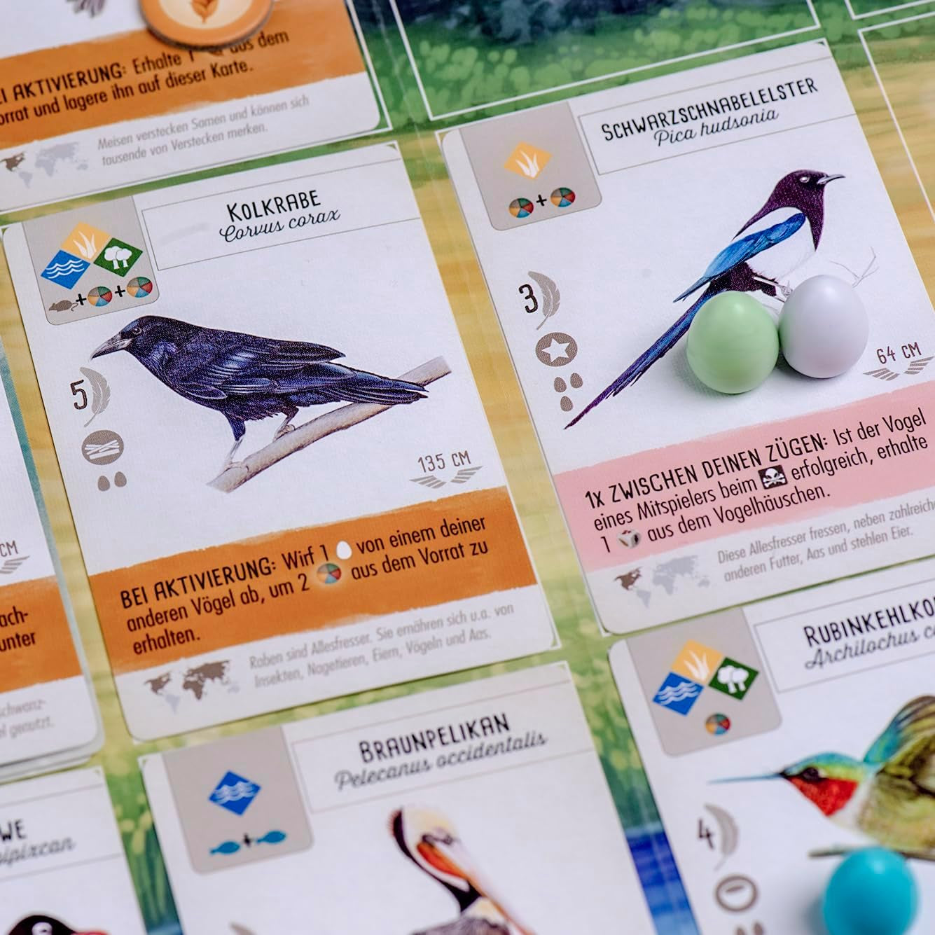 Feuerland Spiele 104-146-901 63558 Wingspan Board Game Édition allemande - Kennerspiel des Jahres 2019 (Prix de la Critique)