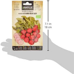 Bio Samen - Runde Rote Radieschen Saxa (120 Samen - Bio)