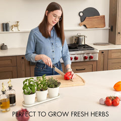 Ensemble de 3 magnifiques pots de jardin d'herbes aromatiques, parfaits pour n'importe quel rebord de fenêtre ou comptoir de cuisine, un ensemble de jardinières décoratives modernes comprenant un plateau et...