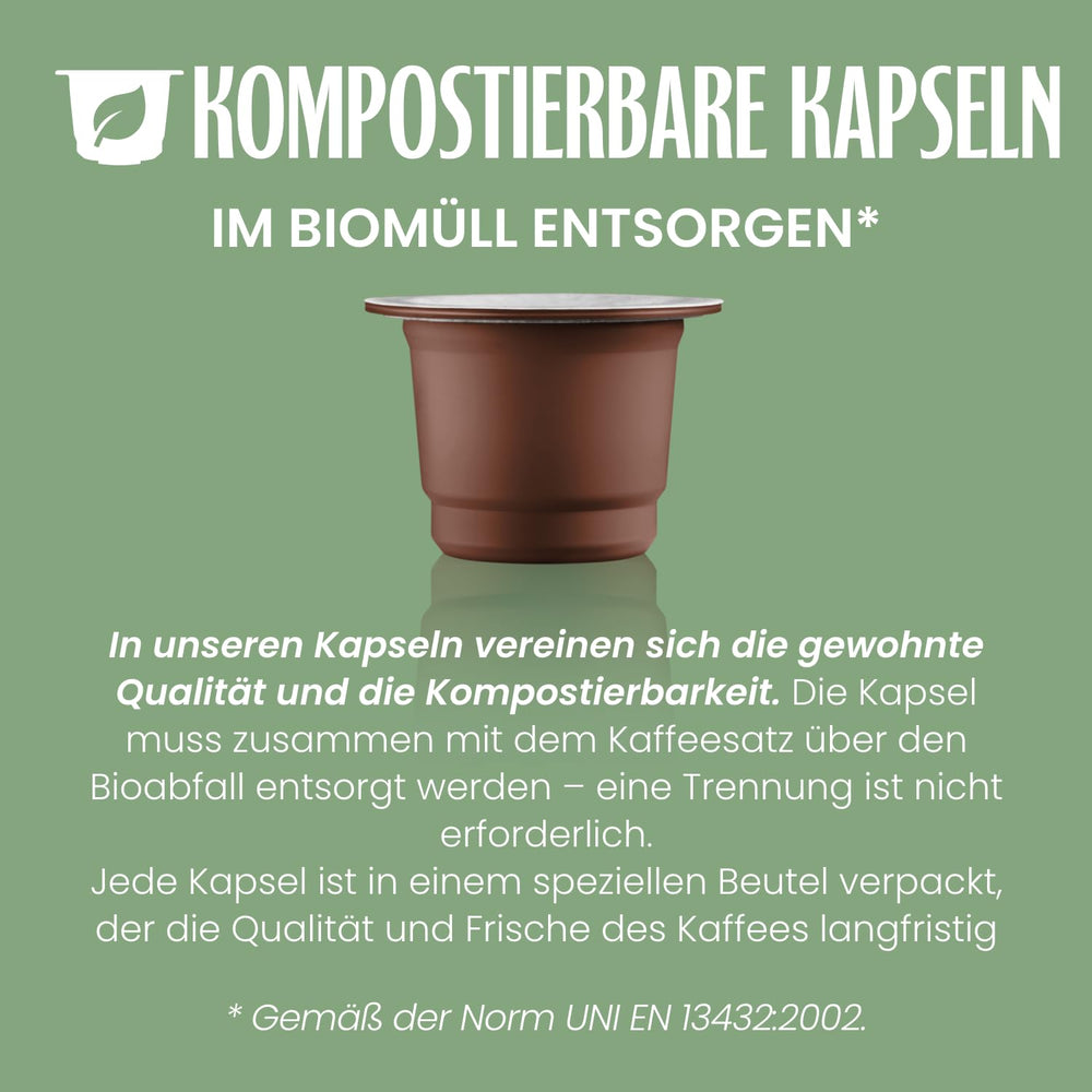 Caffè Vergnano 1882 - Café expresso compostable, compatible avec Nespresso, Cremoso (crémeux) - Packung Enthält 100 Kapseln