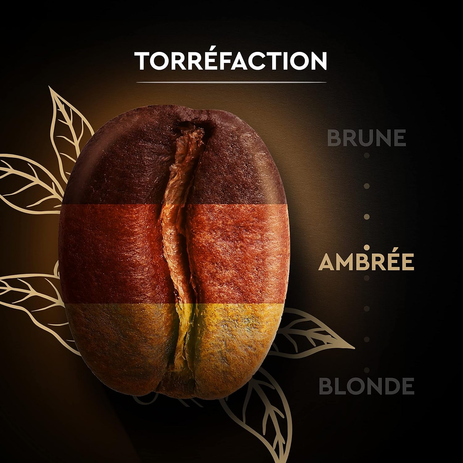 Carte Noire - Café en grains - Classique - Pur Arabica - Certifié Rainforest Alliance - 2 sacs de 1 kg chacun