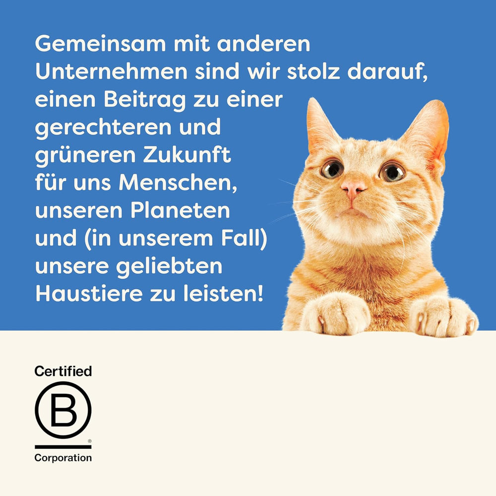 Applaws 100% naturel Premium-Nassfutter for Katzen, Thunfischfilet mit Algen in Brühe - Packung mit 24 x 156g Dosen