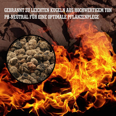 Argile expansée LERAVA® (1L) – Granulés d'argile pour plantes d'intérieur et culture hydroponique – Argile végétale au pH neutre pour un drainage optimal – Idéale comme couche de drainage ou granulés d'argile décoratifs pour plantes