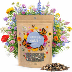 100 g de graines de papillon pour une prairie fleurie colorée – Mélange de graines de fleurs sauvages colorées et riches en nectar pour papillons