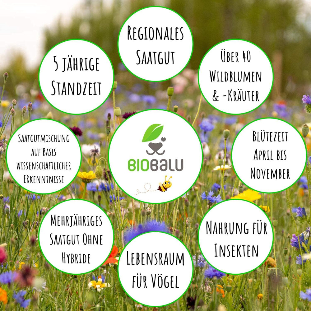 Bienenweide Samentütchen - Blumenwiesensamen Mehrjährig - Blumensamen Als Hochzeitsgeschenk, Gastgeschenk, Werbegeschenk, Werbeartikel Personalisiert (100 X 4G)