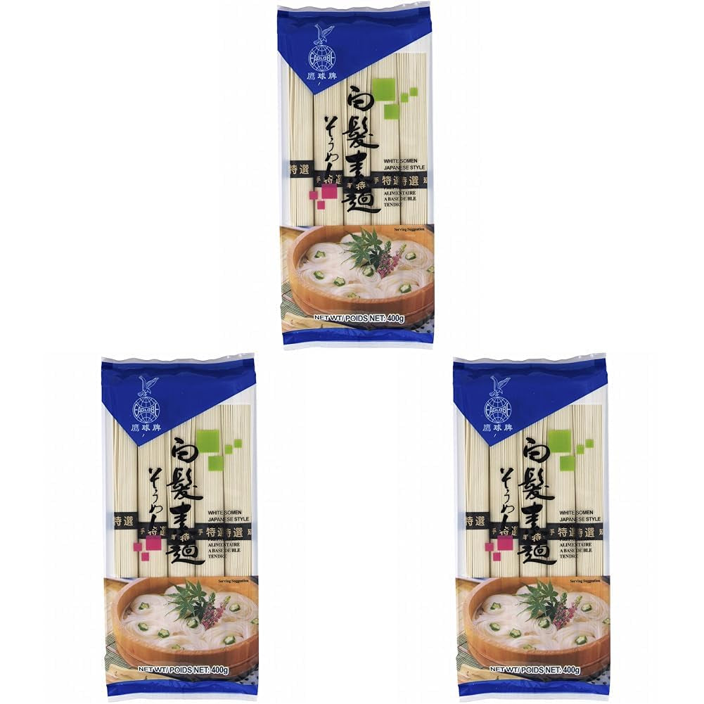 - Nouilles Somen sèches (1 x 400g)