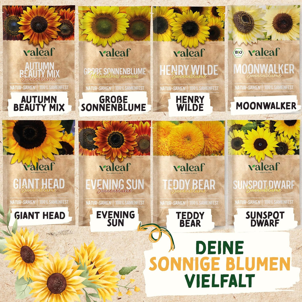 Kit de graines de tournesol - 8 variétés de graines de tournesol - Graines de tournesol dans un kit de plantation pratique - Graines de fleurs d'été, mélange de fleurs sauvages - Graines de fleurs à planter