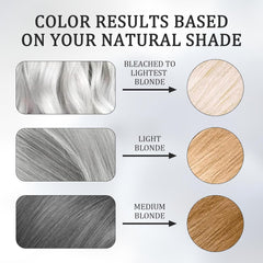 Teinture capillaire 2 en 1 gris argenté Teinture capillaire naturelle à base de plantes gris argenté pour tous les types de cheveux adaptée aux outils jetables (100 g) Naty Shop Hair Dye