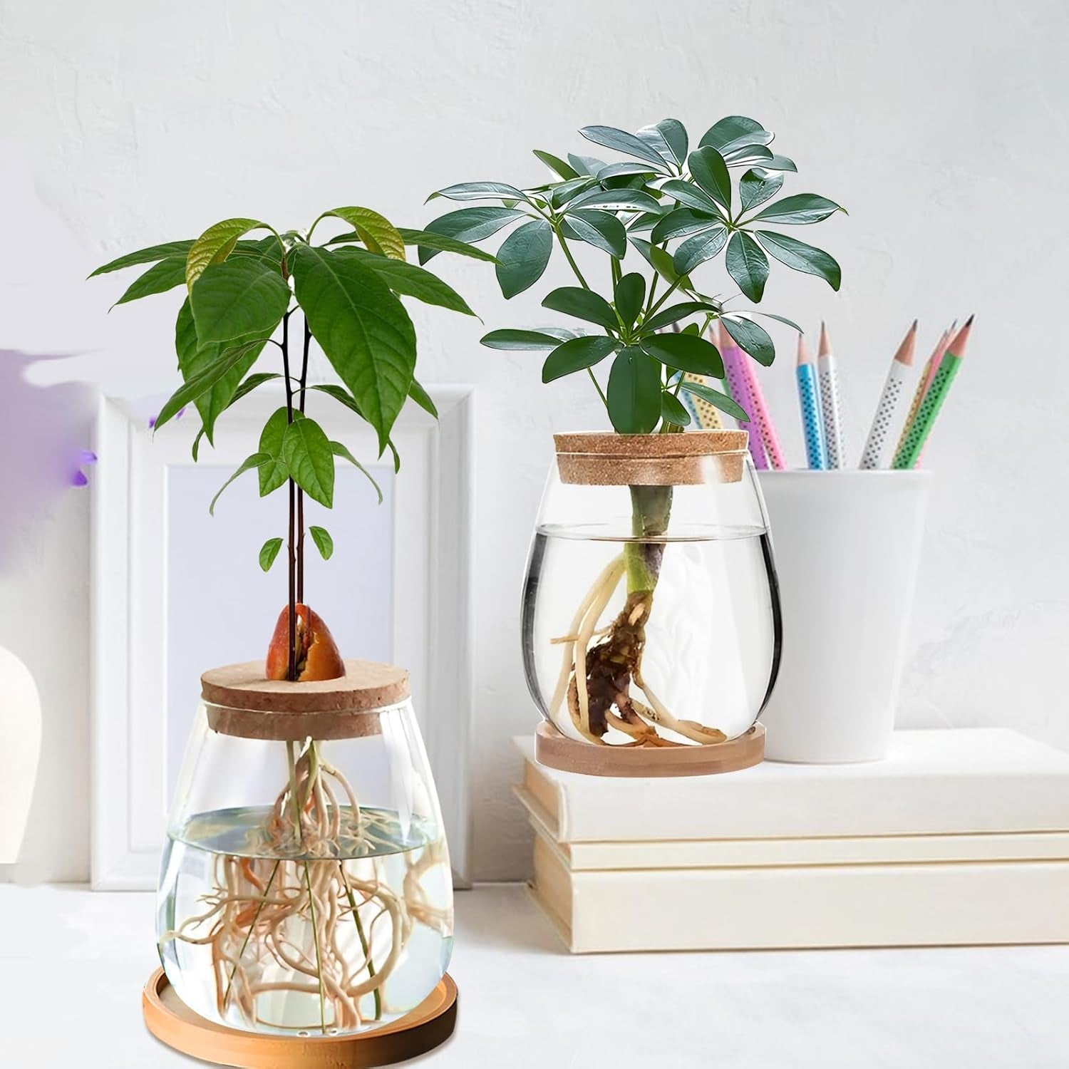 Station de culture de plantes hydroponiques 12x11 cm Vase de graines d'avocat Jardinière en verre Vase en verre hydroponique pour plantes aquatiques ou fleurs Décor de table de bureau 2 pièces