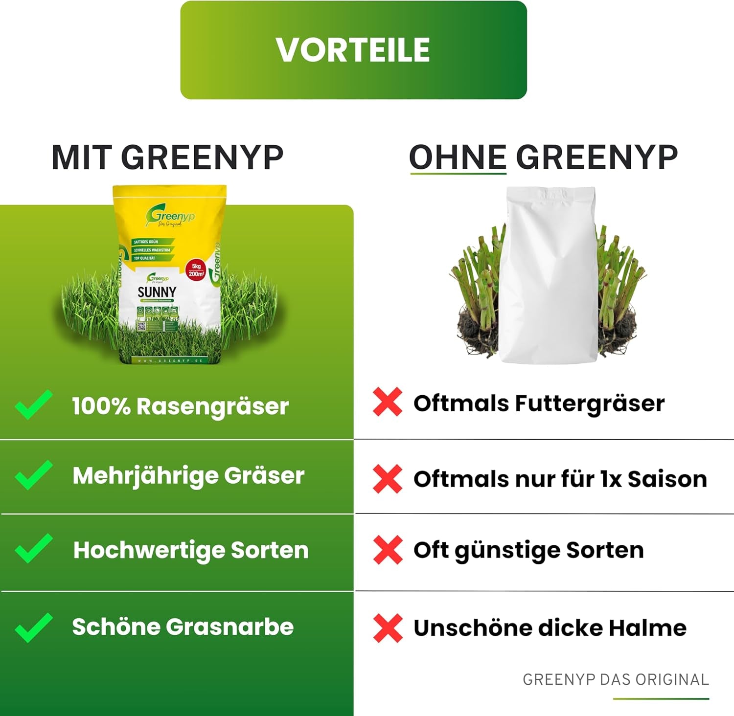 Greenyp® Sunny I Dürreresistenter Trockenrasen I 0,2Kg Für 10M² I Grassamen Rasensamen Rasensaat Gras Nachsaat Schnellkeimend