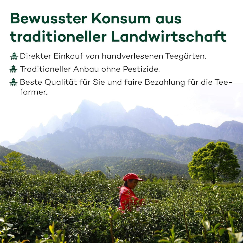 Sencha Ceai verde din Japonia, cultivat sub soarele primăverii | Recoltat în mai 2024 | Ceai de cea mai bună calitate, direct din plantații premiate | Ideal pentru toți iubitorii de ceai și ca cadou (100 g)