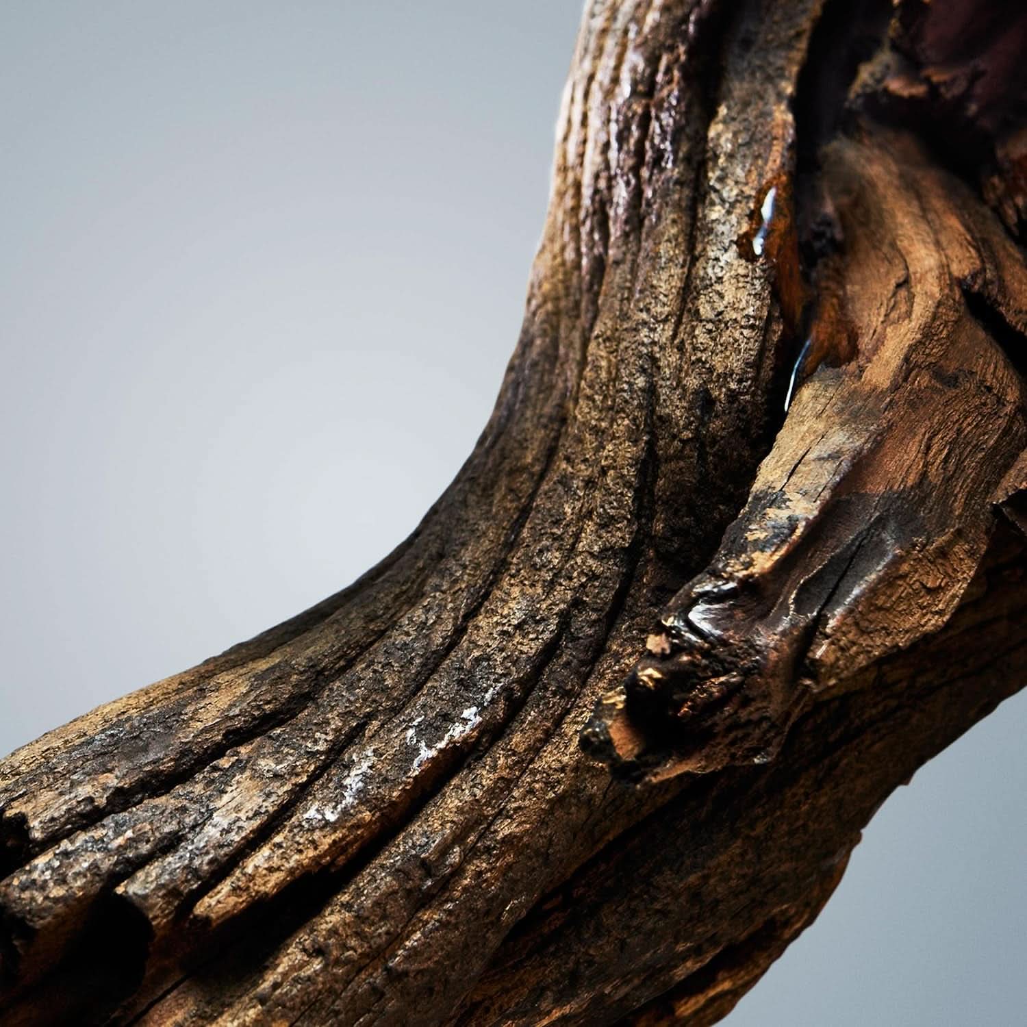 BOSS, gel douche, parfum oriental boisé pour homme aux notes de cannelle et de musc, 150 ml Douche et bain Naty Shop