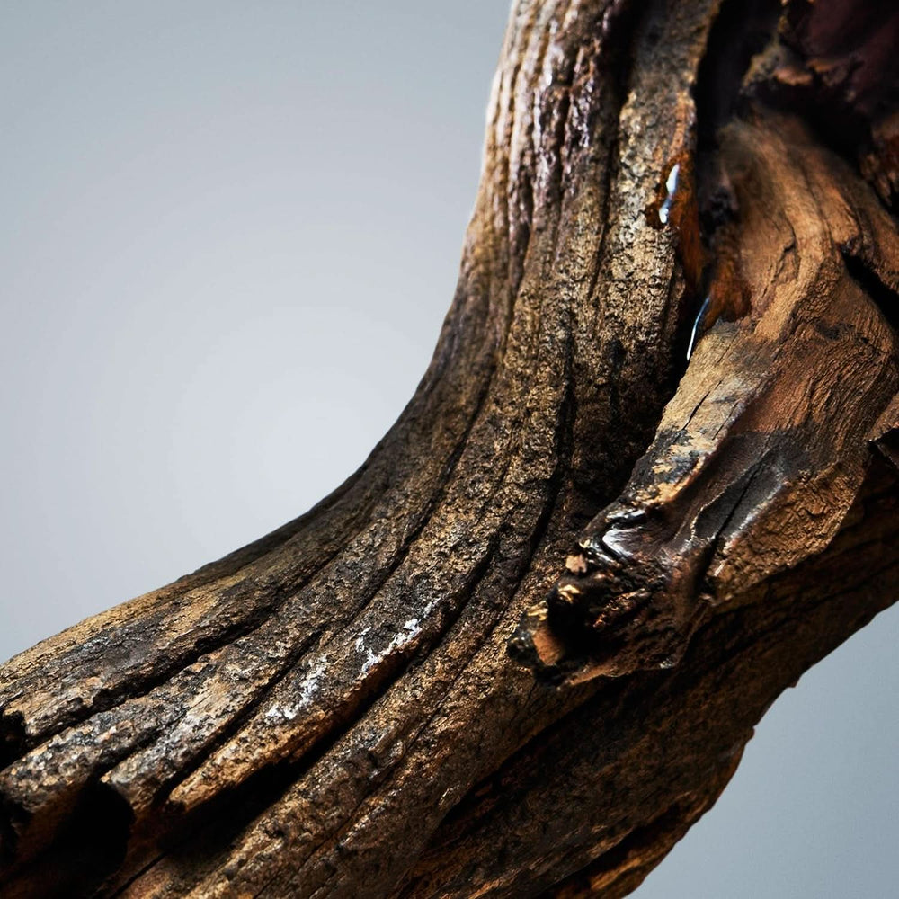 BOSS, gel douche, parfum oriental boisé pour homme aux notes de cannelle et de musc, 150 ml Douche et bain Naty Shop