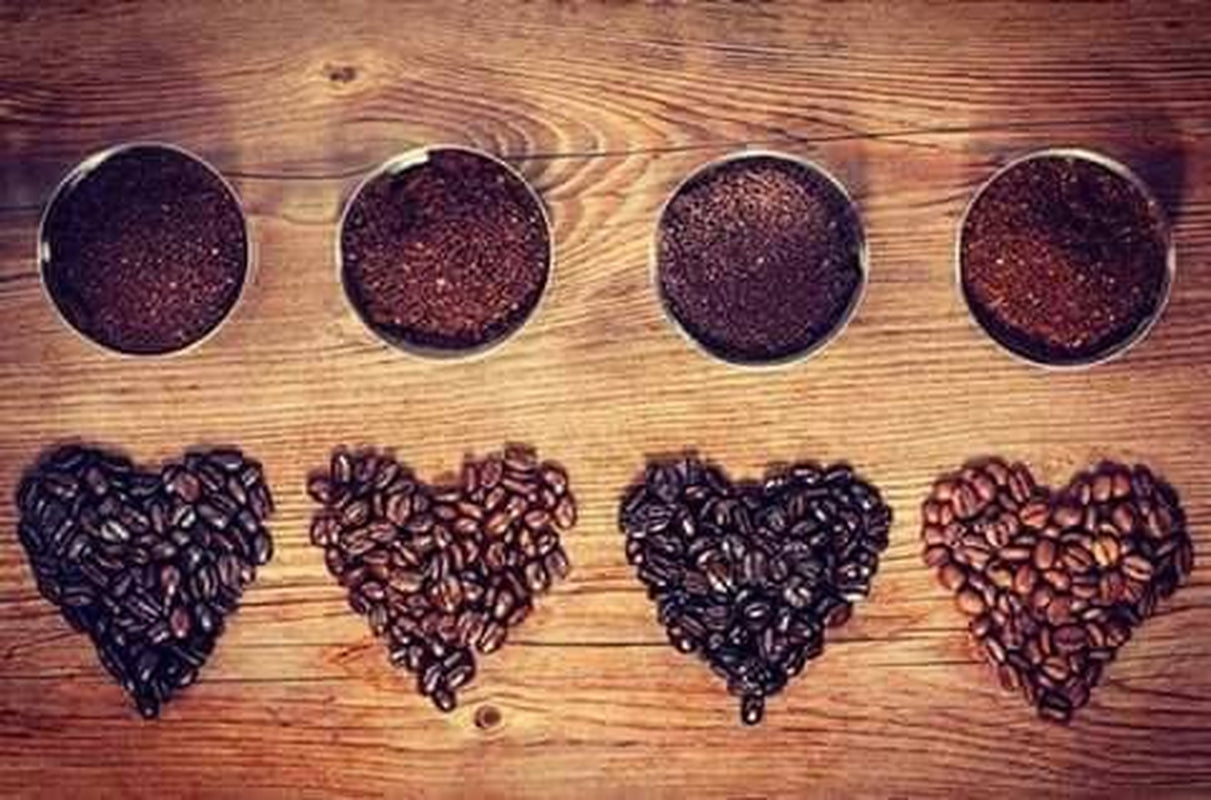 Café Arabica mexicain Procurador 1000g