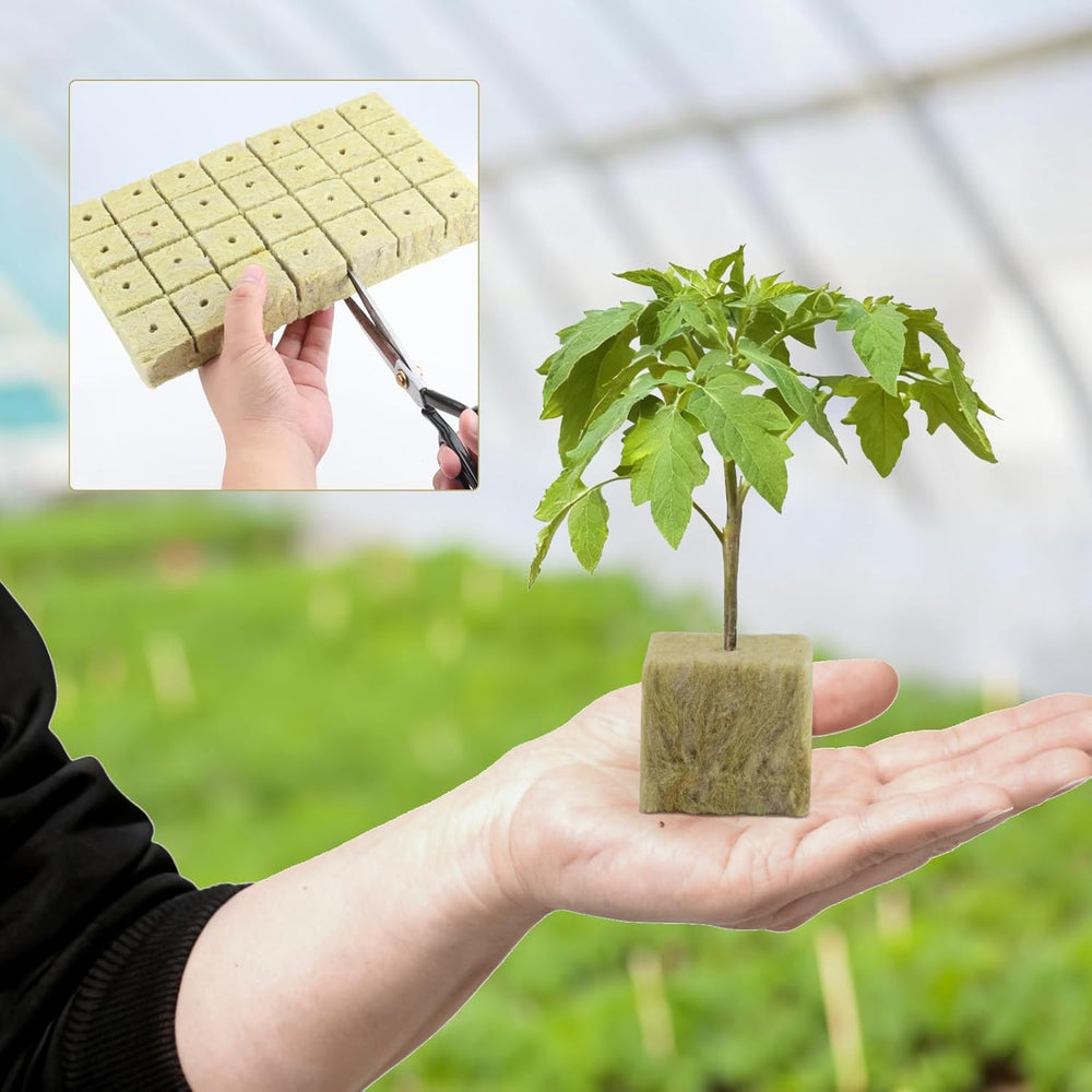100 cubes de propagation de laine de roche 25x25x25mm avec gants Isolation en laine de roche Cubes de propagation à prise facile Hydroponique Cubes de laine de roche Boutures Propagation sans sol
