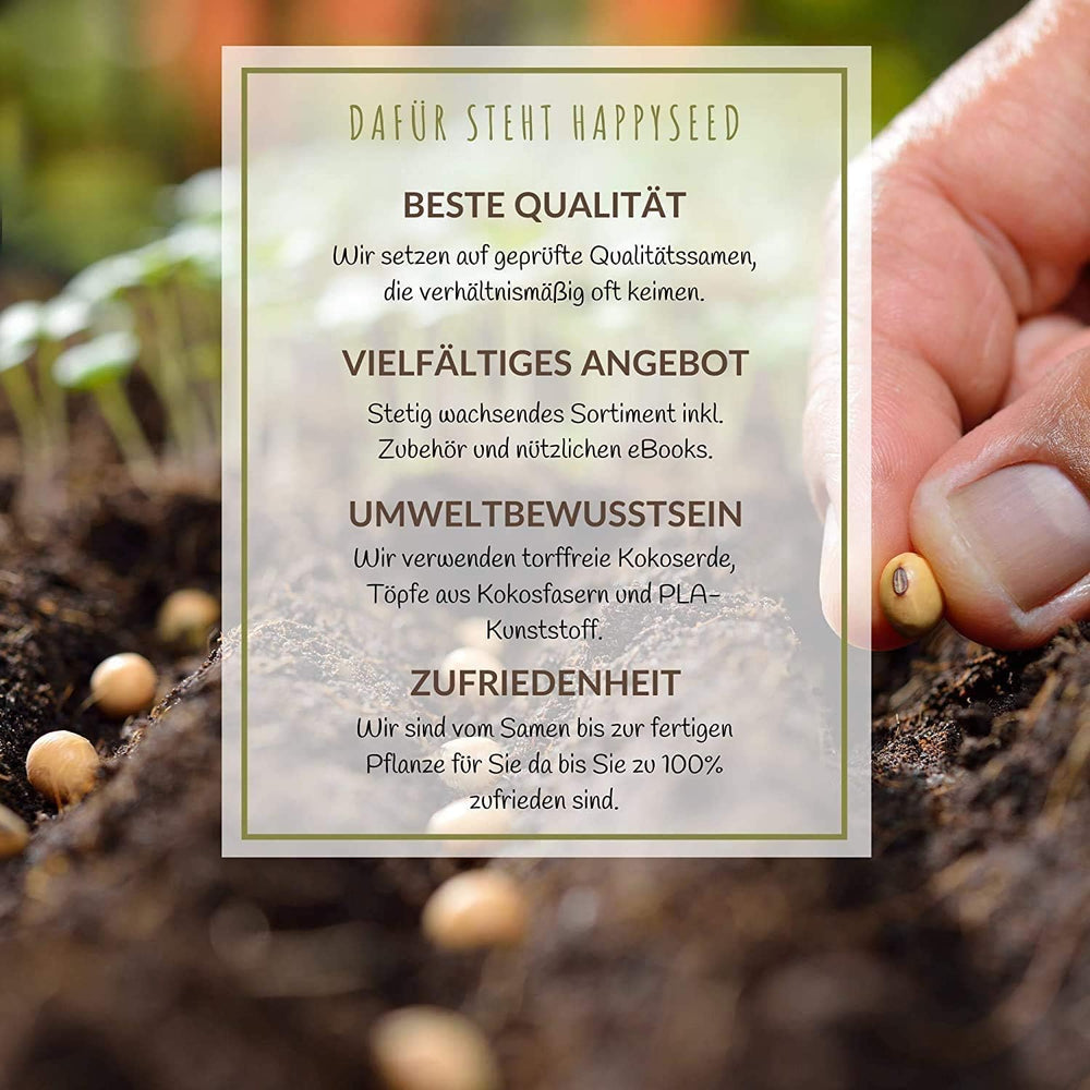 100 g de graines de fleurs sauvages pour un pâturage d'abeilles coloré – Mélange de graines de fleurs sauvages vibrantes et riches en nectar pour les abeilles et les papillons (comprend un eBook GRATUIT)