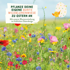 Graines de prairie de fleurs sauvages | Graines de fleurs de cadeau de Pâques, graines d'herbe de Pâques | Graines de fleurs de Pâques et cadeaux de Pâques pour les enfants | Graines de fleurs sauvages | Des paquets de graines pour une prairie de fleurs sauvages