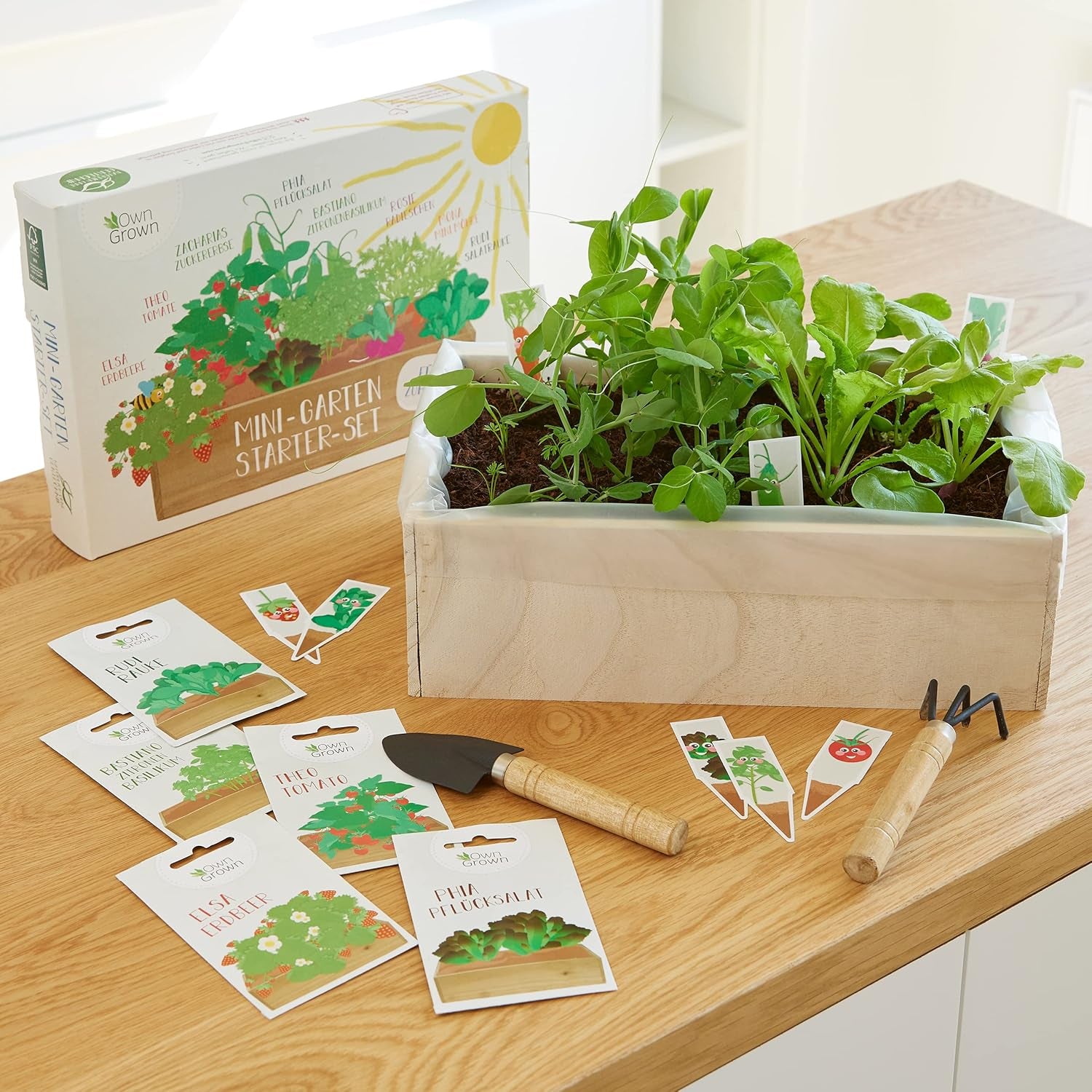 OwnGrown Kit de culture de graines avec boîte en bois et 8 variétés de graines de plantes : kit de culture de graines de légumes, de fraises et d'herbes pour enfants – Mini serre et mini kit de démarrage de jardin par OwnGrown