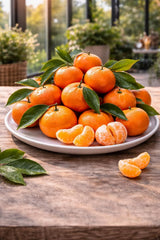 Mandarinenbaum 100–140 Cm Im Topf C17 – Citrus Reticulata – Mandarinen Pflanze Winterhart Bedingt, Immergrünes Zitrusbäumchen Für Balkon & Terrasse, Aromatische Früchte