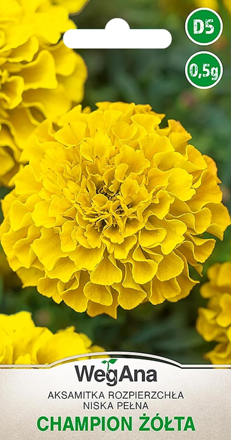 Cosmos Sensation Mix 1g graines, Cosmos Mix Fleurs d'été, Plantes de jardin Plantes de balcon, Graines de fleurs