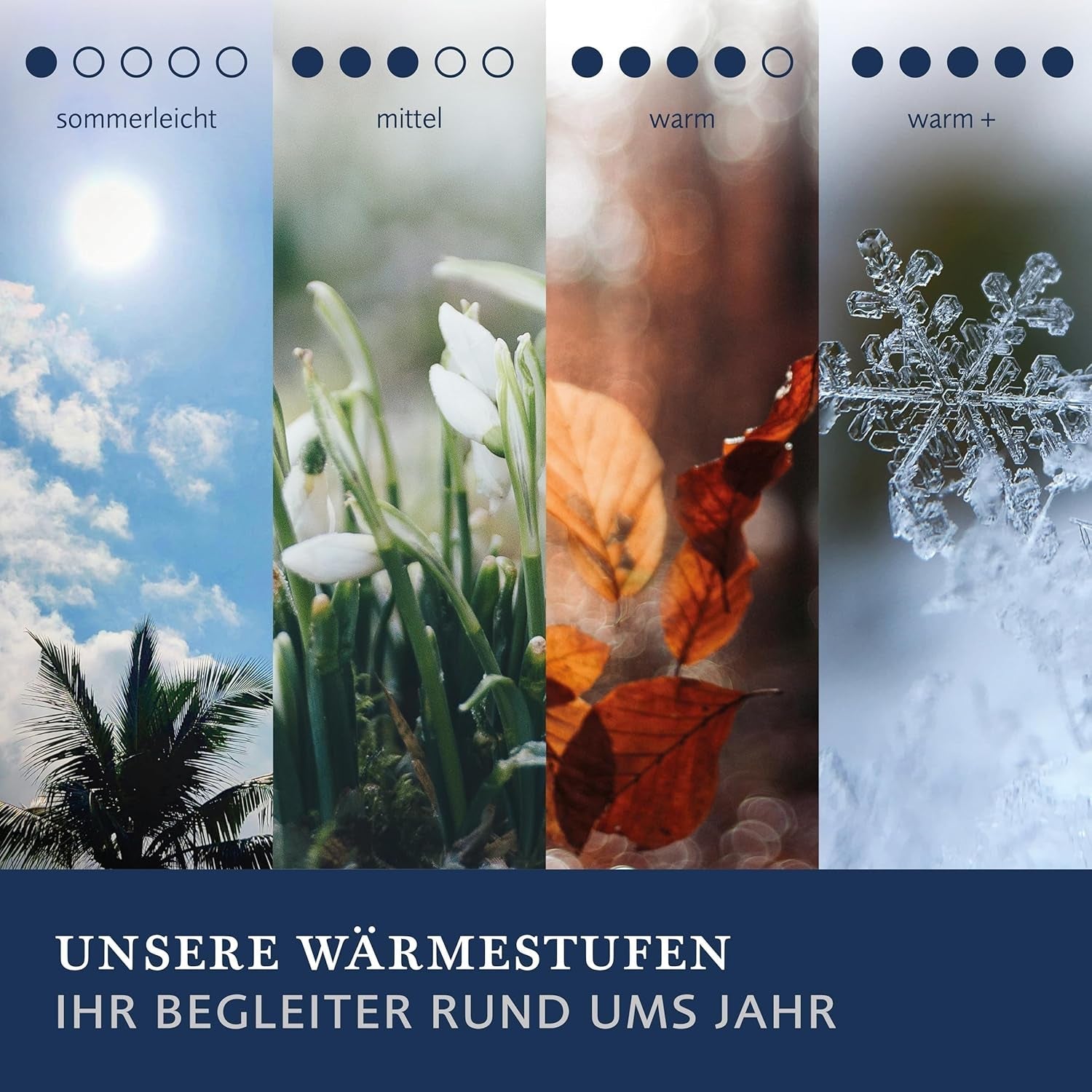 Couette en duvet Billerbeck - E04 Gold Edition - Couette d'été - Couette en duvet véritable 135 X 200 Cm - Chaleur estivale légère Couettes et couettes Naty Shop