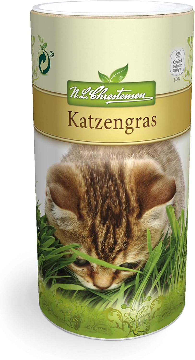 Premium Katzengras Samen Chrestensen, Grassamen Schnellkeimend, 1 Dose 110 G, Reicht Für Ca. 4-5 M² Katzengras Fertig Gewachsen, Natürliche Katzen Leckerlies Zu Hause
