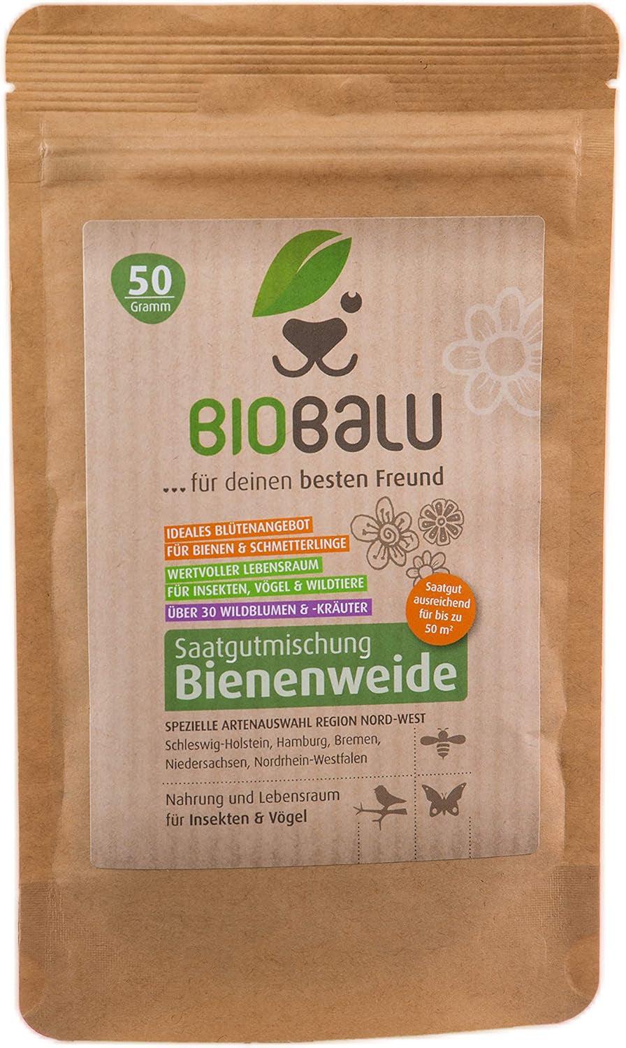Graines d'abeilles - fleurs sauvages des prés, vivaces et résistantes à l'hiver, graines - plus de 40 fleurs indigènes et herbes sauvages, sélection spéciale d'espèces pour le sud de l'Allemagne, 50g