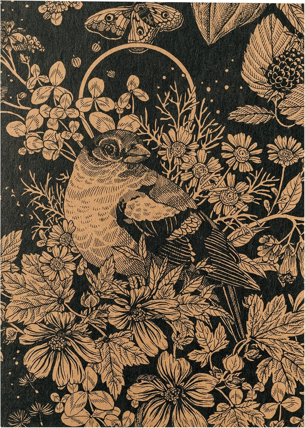 Nos plantes préférées : Plantes vivaces et fleurs d'été pour les amateurs de fleurs (biologiques) - Coffret cadeau de graines avec 6 jolies variétés pour une explosion florale sauvage - vous rend heureux !