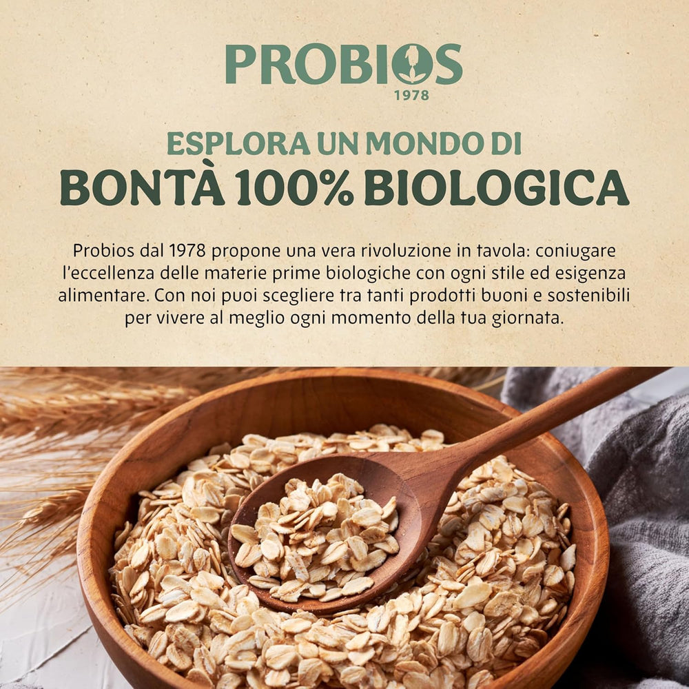 Cornflakes bio légers 500g par paquet