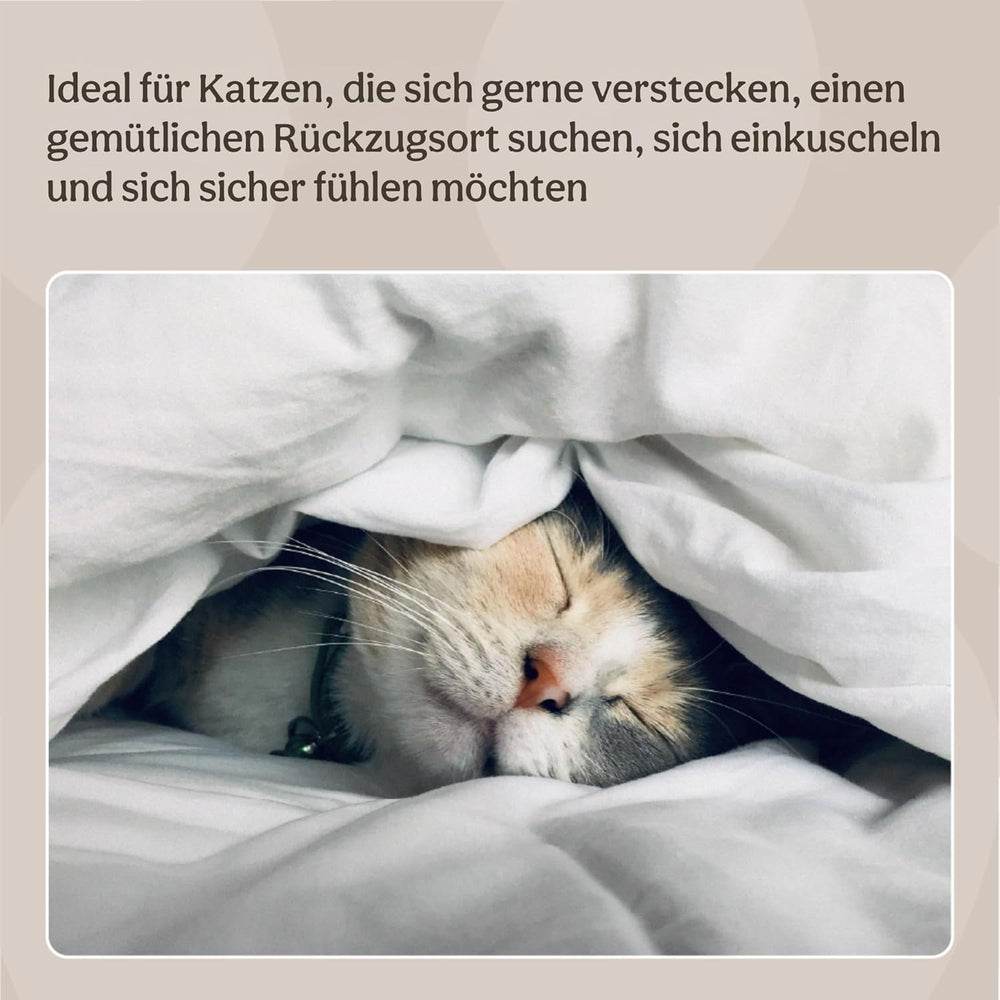 Lits, couvertures et meubles, animaux, chats, lits pour chats, Chats - lits, matelas