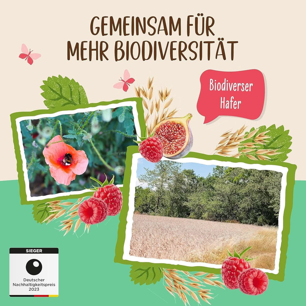 Allos Bouillie de figues et framboises non sucrée, Coffret 6 x 500 grammes Céréales Naty Shop