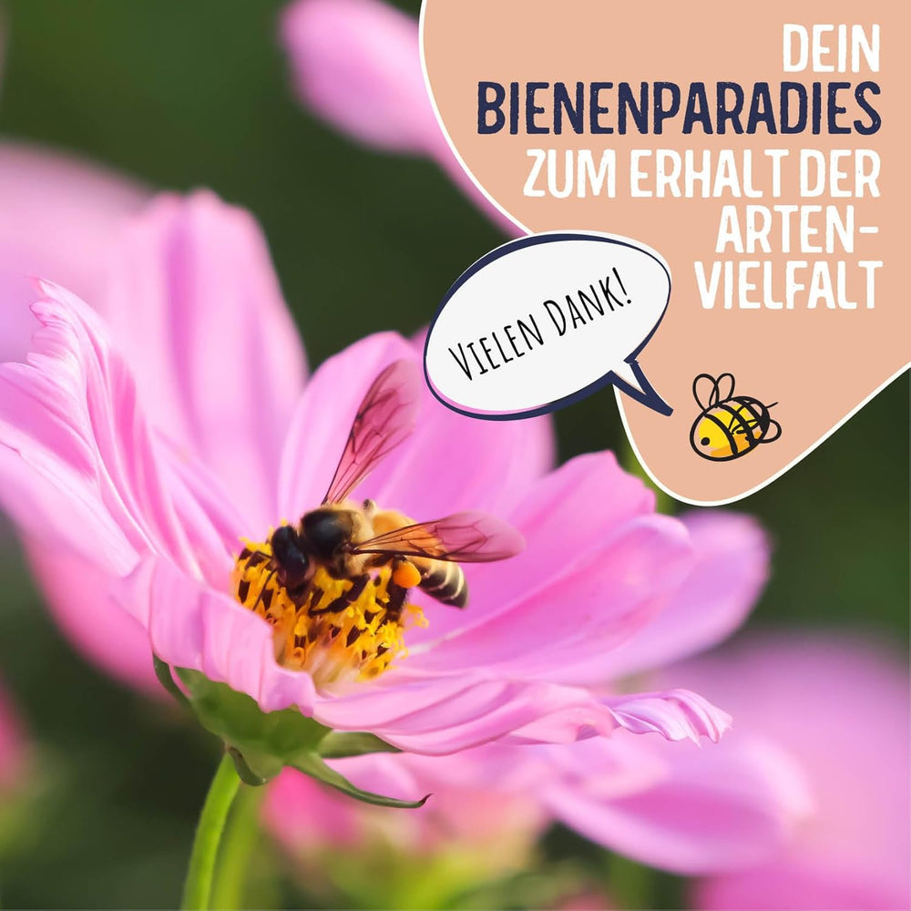 Blumenwiese Samen I 200 g I Blumensamen mehrjährig I Samen für Bienen Blumenmischung I Wildblumensamen f. Balkonblumen, Wildblumen I Wildblumensamen mehrjährig winterhart als Bienenweide