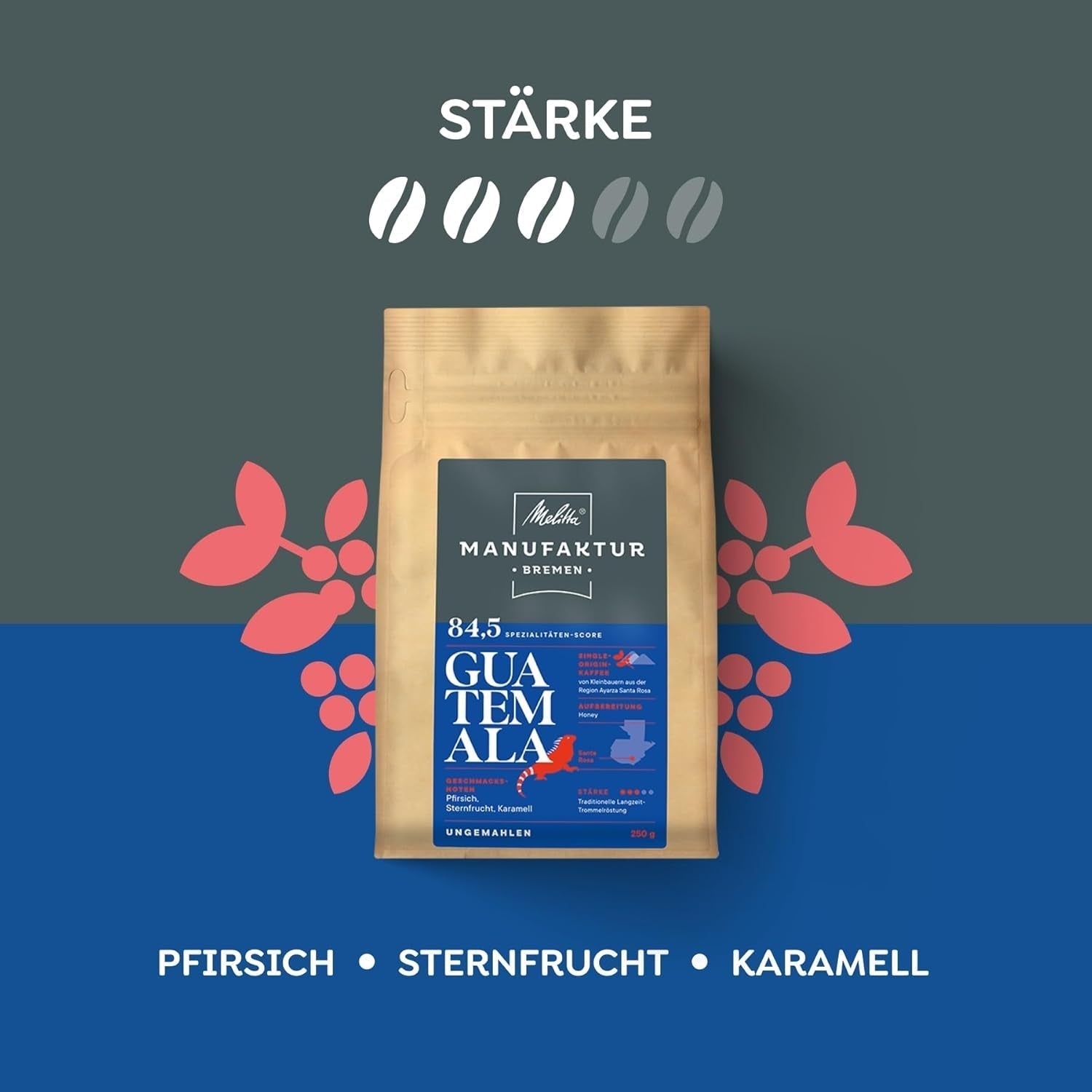 Melitta Manufaktur-Kaffee Guatemala Honey, café de spécialité, 250 g, grains de café entiers, non moulu, café d'origine unique, torréfaction délicate au tambour, torréfié en Allemagne, force 3 Coffee Naty Shop