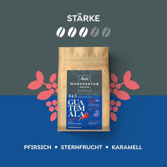 Melitta Manufaktur-Kaffee Guatemala Honey, café de spécialité, 250 g, grains de café entiers, non moulu, café d'origine unique, torréfaction délicate au tambour, torréfié en Allemagne, force 3 Coffee Naty Shop