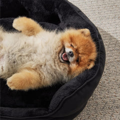 Lits, couvertures et meubles, animaux, chats, lits pour chats, Chats - lits, matelas