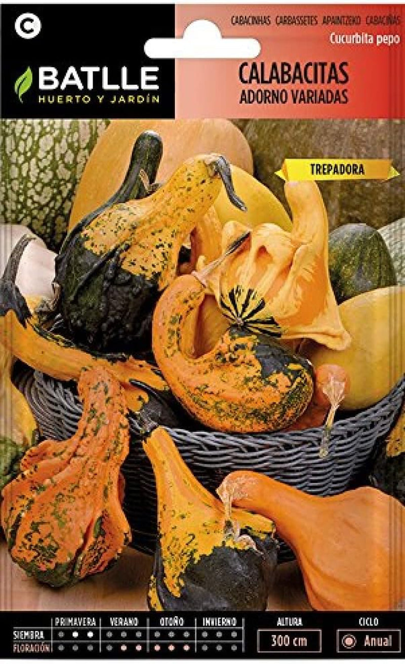 Batlle Pumpkin-Caddy, Praktisch, Mehrfarbig, Caddy, 2 Kompartimente, Utensilien, 12X24X12 Cm, 0.01 Kg, 1 Stück