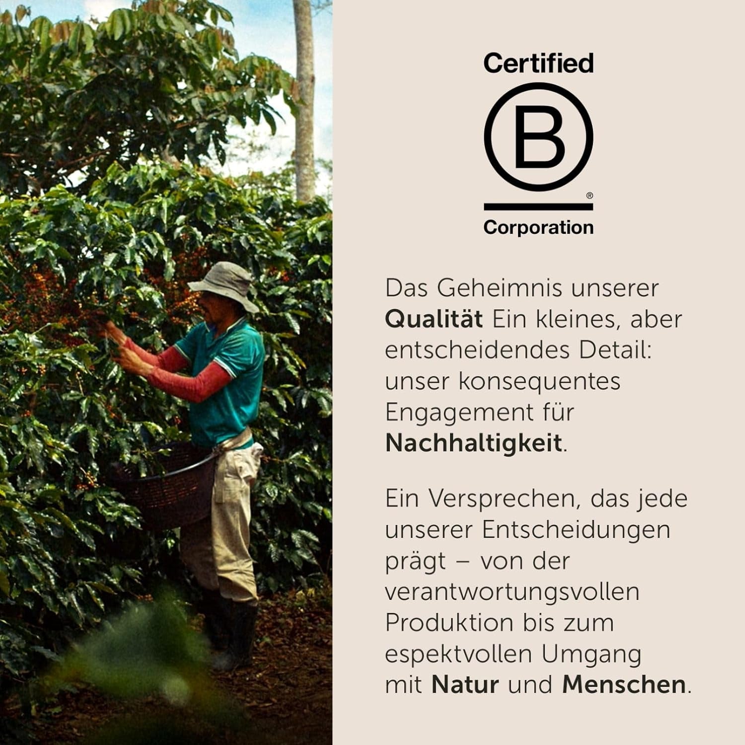 illy, Capsules Iperespresso CLASSICO, 100% Arabica avec notes de fleur d'oranger et de jasmin, goût sucré et arrière-goût sucré, 6 paquets de 18 capsules (Insgesamt 108 Capsules)