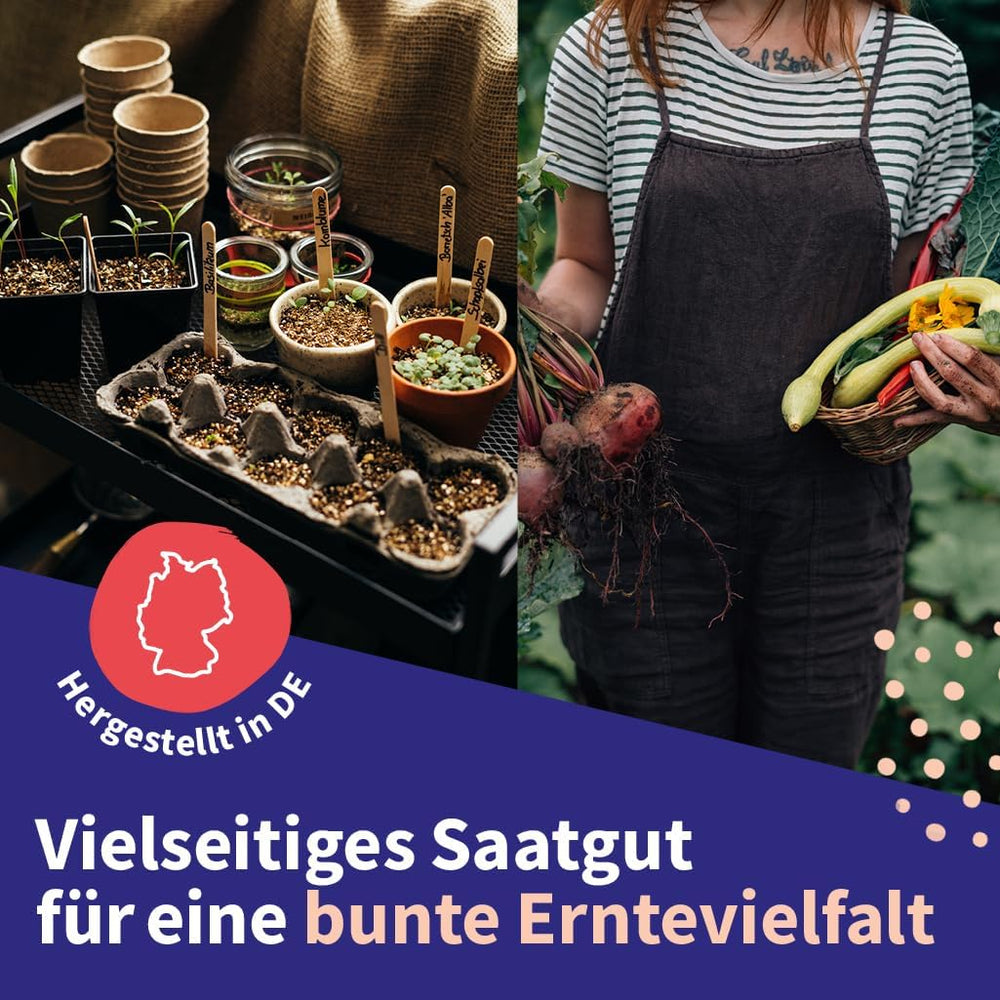 Magic Garden Seeds - Ensemble de graines de plantes médicinales d'Europe centrale - 12 variétés traditionnelles de plantes médicinales populaires - Variétés d'héritage - Accessoires de jardin - Graines de plantes - Cadeau pour les amateurs de jardin