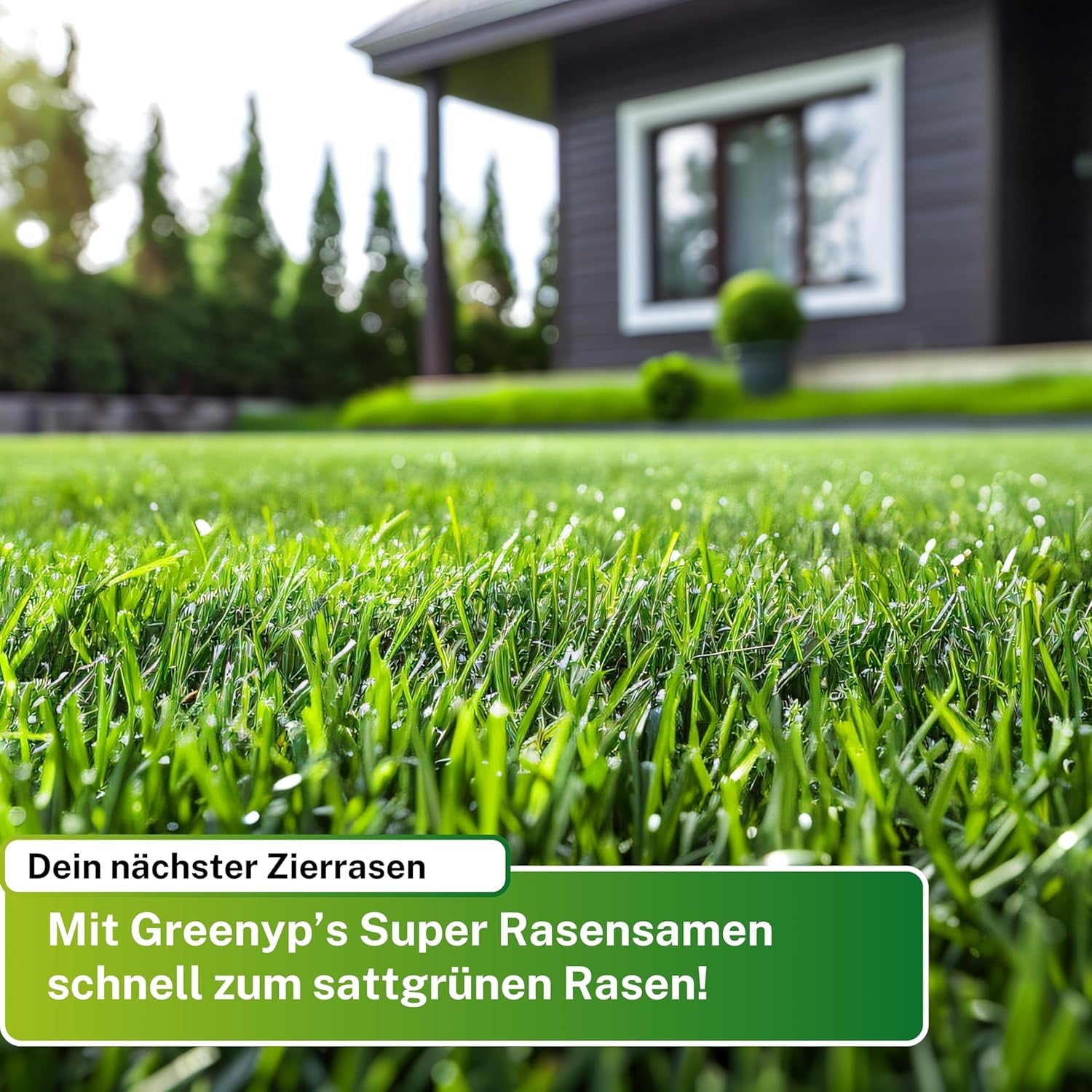 Greenyp® Super Rasen I Sattgrüner Premium Zierrasen Nachsaat I Traumrasen Grassamen Rasensamen Rasensaat Gras Besonders Schnellkeimend 0,2Kg Für 10M²