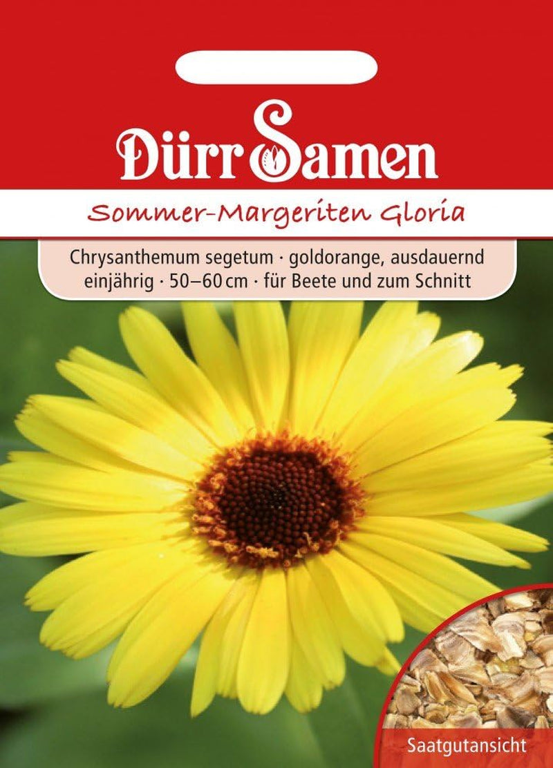 Dürr Samen 1937 Sommermargeriten Gloria (Sommermargeritensamen)