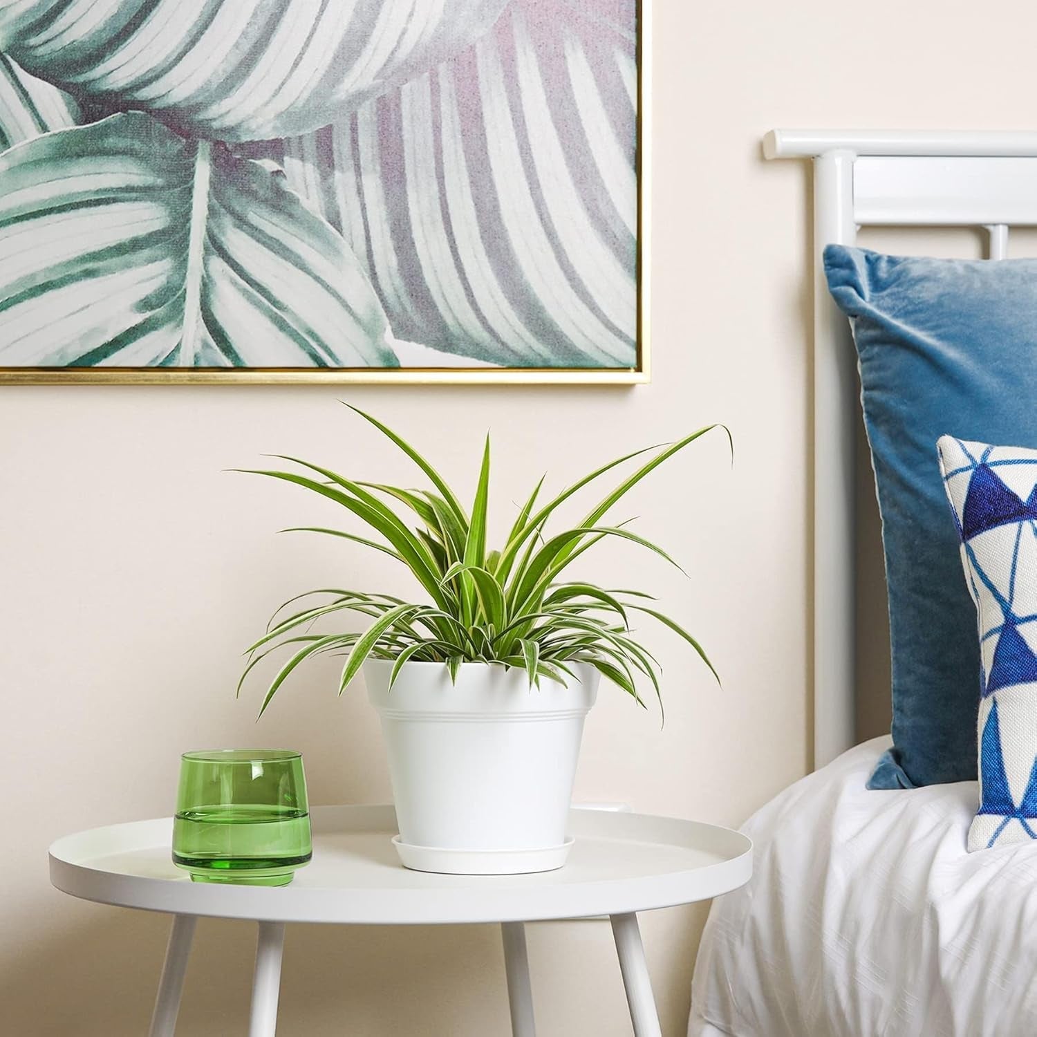 T4U Pot de Fleur en Plastique de 16 cm avec Soucoupe, Ensemble de 6 Pots à Herbes en Plastique avec Plusieurs Trous de Drainage, Pot Rond pour Plantes Succulentes d'intérieur et de Balcon, Cactus, Blanc