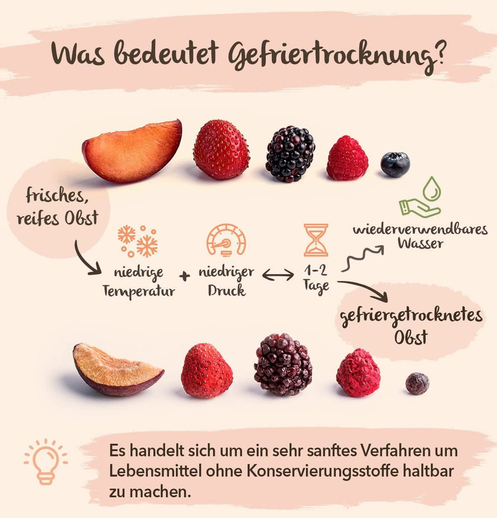 BRIX Ananas liofilizat | Natural, ananas uscat 95 g | Great Taste Award fructe uscate, ananas liofilizat | Fără OMG, fără gluten, vegan, vitamine reținute Produse deshidratate Naty Shop