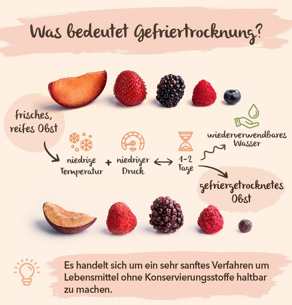 BRIX Ananas lyophilisé | Ananas naturel séché 95 g | Fruits secs Great Taste Award, ananas lyophilisés | Sans OGM, sans gluten, végétalien, vitamines retenues Naty Shop Produits déshydratés