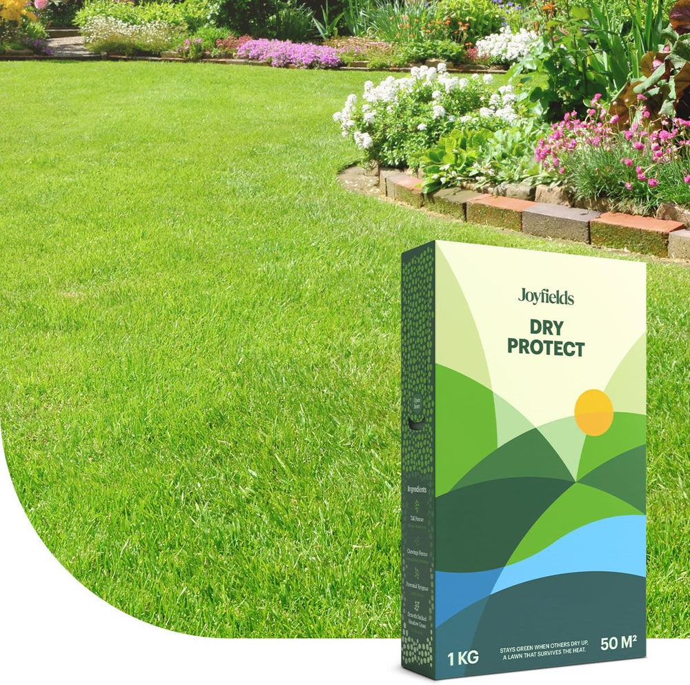 Family Lawn - Sport- Und Spielrasen-Samen - 1 Kg Für 50 M² - Widerstandsfähig Bei Intensiver Nutzung - Schnelle Regeneration Nach Schäden - Mit Beschichtung Für Optimale Keimung