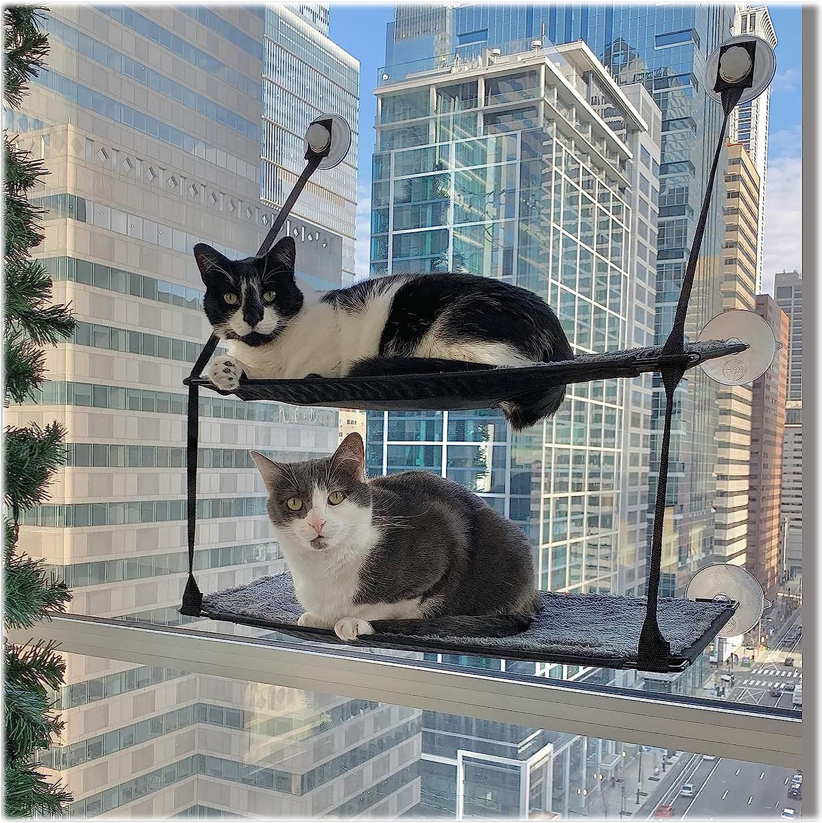 Couvertures et meubles, Sièges de fenêtre, Animaux domestiques, Chats, Lits pour chats, Chats - lits, matelas