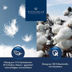 Oreiller en duvet Billerbeck Martina - Oreiller en 80 X 80 Cm - Oreiller à maintien ferme - Duvet d'oie 15% et plumes 85% Oreillers standards Naty Shop