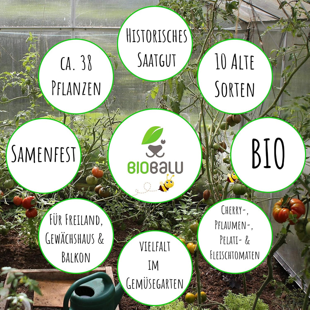 Tomatensamen Bio - 10 Alte Sorten in Einzelpackungen - Historisches Saatgut Set Tomaten, Saatgut Raritäten in Bioqualität, Samenfeste & Seltene Tomatensorten Für - Geschenkset