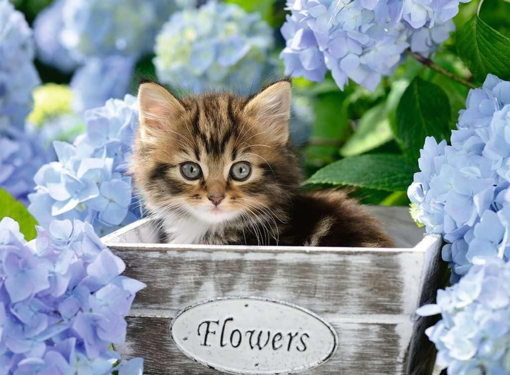 Puzzle enfant Ravensburger - 12894 Petit Chat - Puzzle animalier pour enfants à partir de 9 ans, avec 300 pièces au format XXL Puzzle Naty Shop