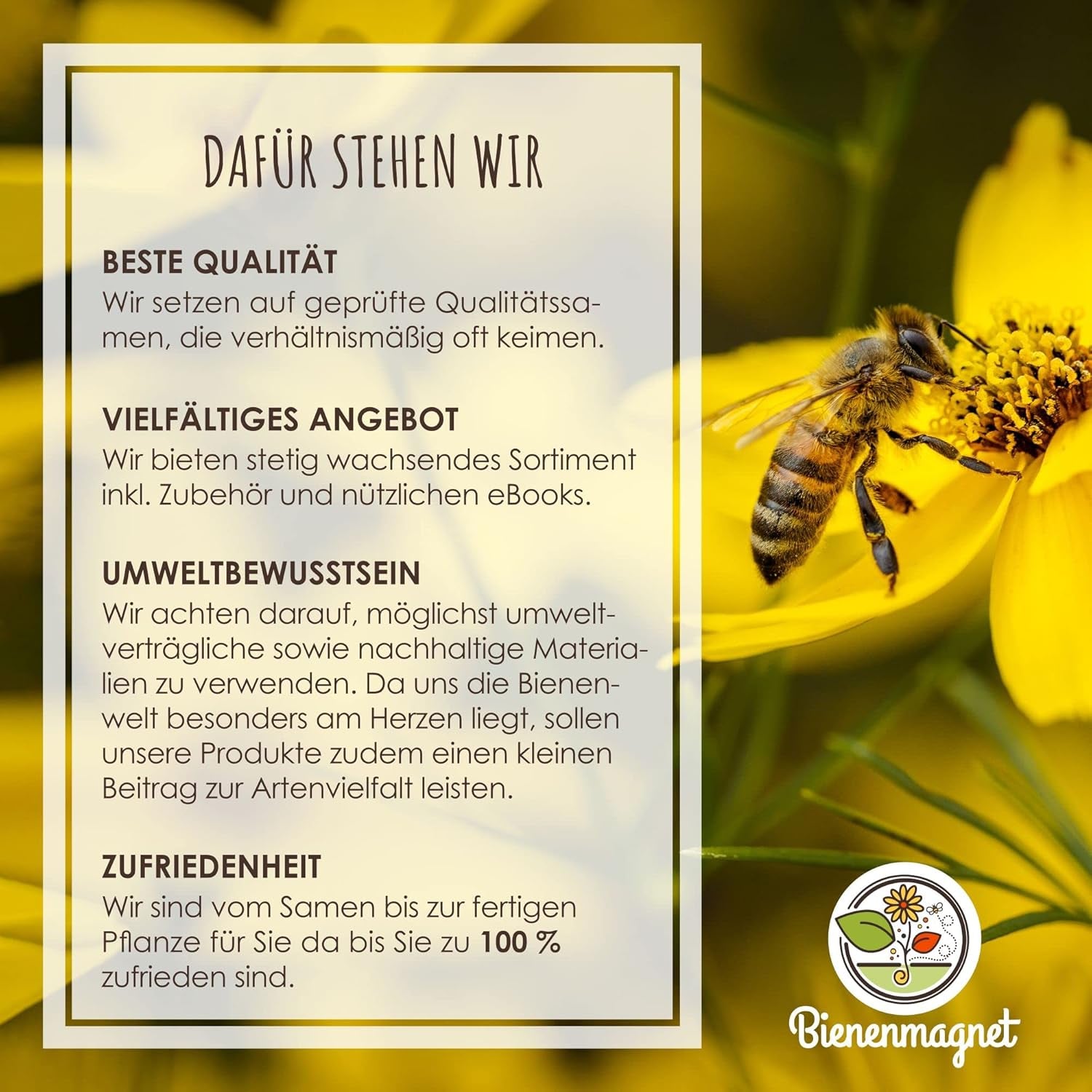 Samenbomben Selber Machen Für Eine Bunte Bienenweide - Bienenfreundlicher Seedbomb Bausatz Für 20-30 Seedbombs